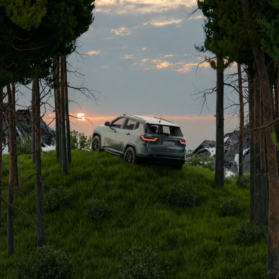 Edge of the Wild